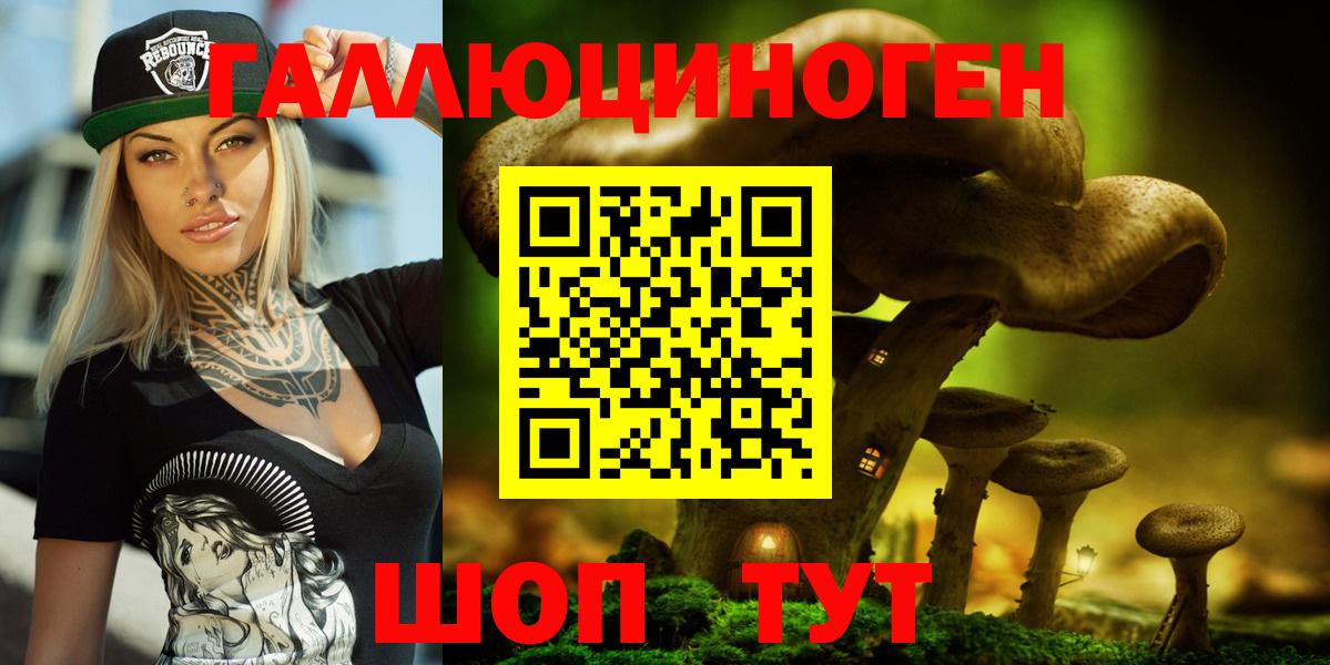 где можно купить   Галлюциногенные грибы Cubensis  Вход с VPN  Россошь 